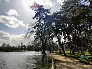 A sunny run in the parc
