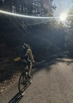 Chasing into the Sunlight