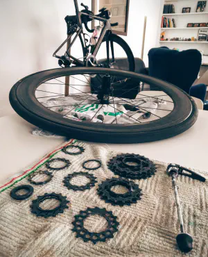 Gear cleaning