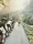 Into the chevreuse