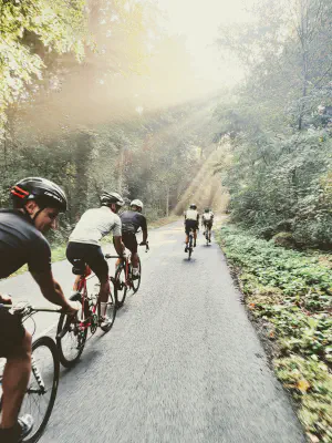Into the chevreuse