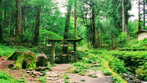 Japanese shrine in the nature