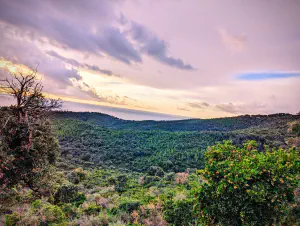 Massif des Maures and the Sea