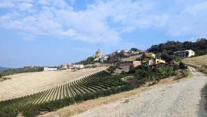 Piacenza country side