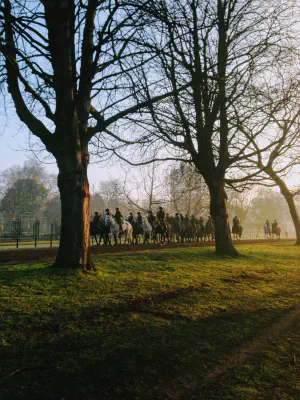 Hyde park morning horse training