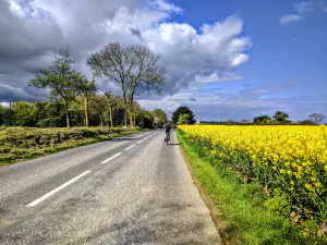 Normandy road shades