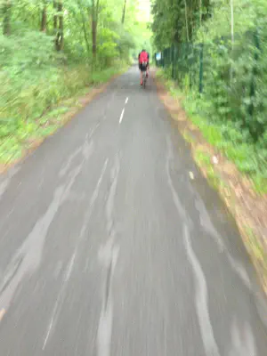 Rolling into the forrest path