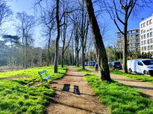 Running in the bois de boulogne