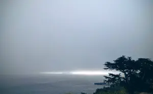 San francisco's fog