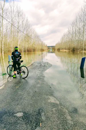 Should I go or should I stay